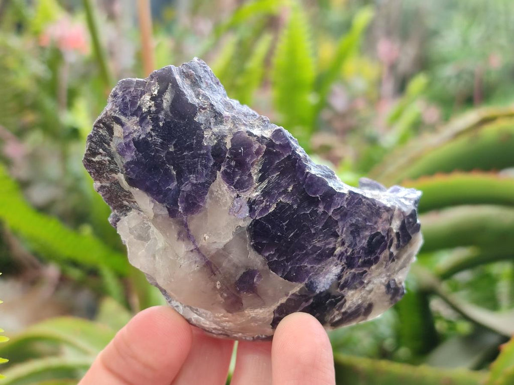 Polished One Side Silver Leaf Lepidolite Slices x 12 From Zimbabwe - Toprock Gemstones and Minerals 