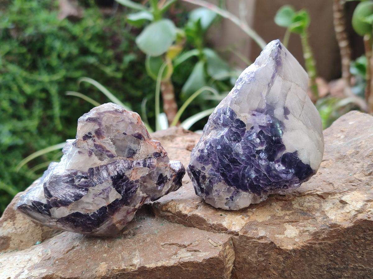 Polished One Side Silver Leaf Lepidolite Slices x 12 From Zimbabwe - Toprock Gemstones and Minerals 