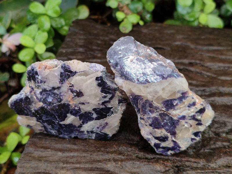 Polished One Side Silver Leaf Lepidolite Slices x 12 From Zimbabwe - Toprock Gemstones and Minerals 