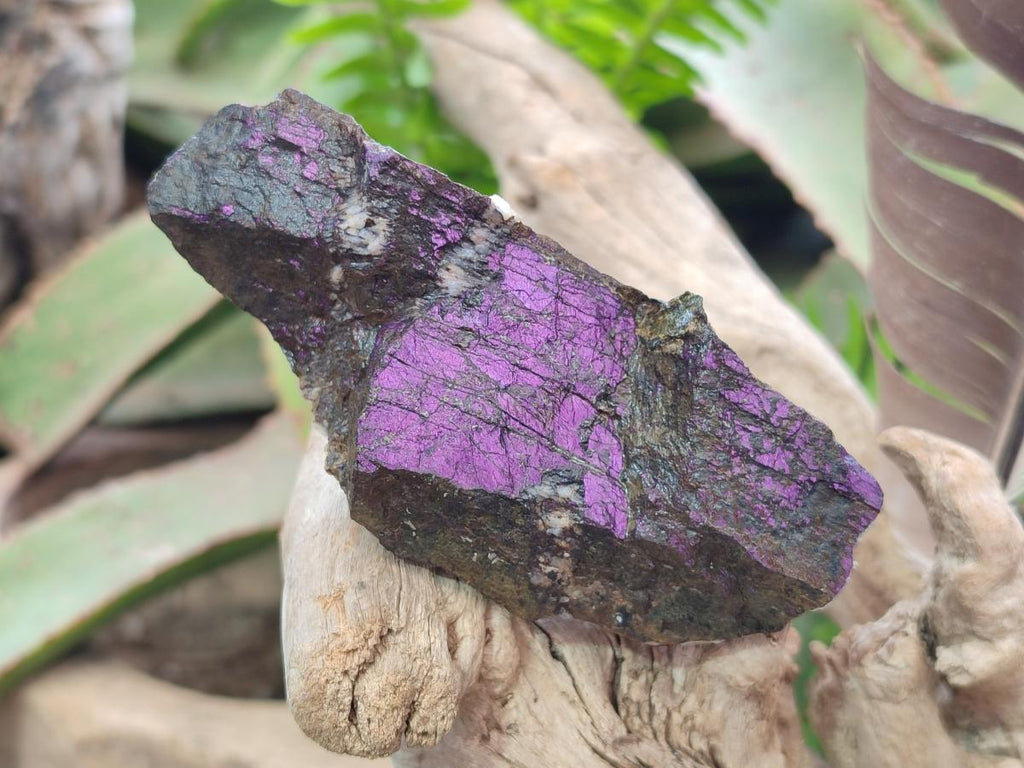 Natural Metallic Cobbed Purpurite Specimens x 12 From Erongo, Namibia - Toprock Gemstones and Minerals 