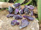 Natural Metallic Cobbed Purpurite Specimens x 12 From Erongo, Namibia - Toprock Gemstones and Minerals 