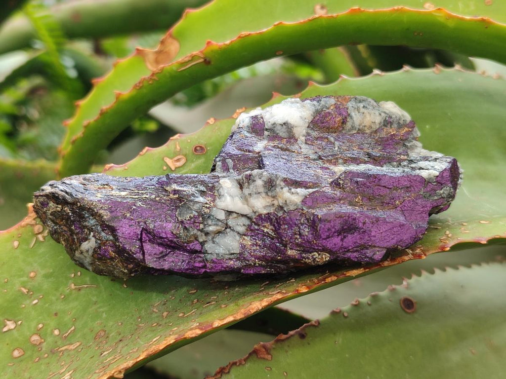 Natural Metallic Cobbed Purpurite Specimens x 12 From Erongo, Namibia - Toprock Gemstones and Minerals 