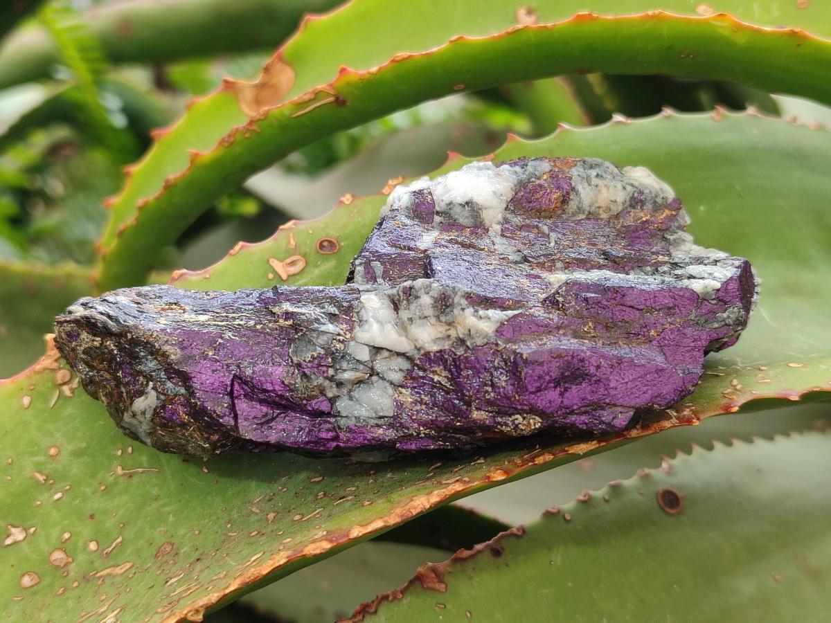 Natural Metallic Cobbed Purpurite Specimens x 12 From Erongo, Namibia - Toprock Gemstones and Minerals 