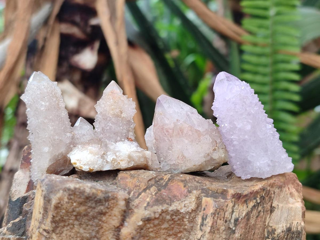 Natural Spirit Amethyst and Spirit Ametrine Crystals and Clusters x 70 From Boekenhouthoek, South Africa - Toprock Gemstones and Minerals 