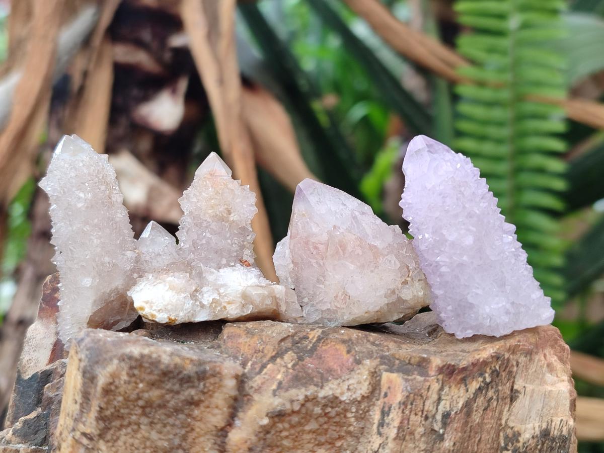Natural Spirit Amethyst and Spirit Ametrine Crystals and Clusters x 70 From Boekenhouthoek, South Africa - Toprock Gemstones and Minerals 