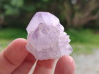 Natural Spirit Amethyst and Spirit Ametrine Crystals and Clusters x 70 From Boekenhouthoek, South Africa - Toprock Gemstones and Minerals 