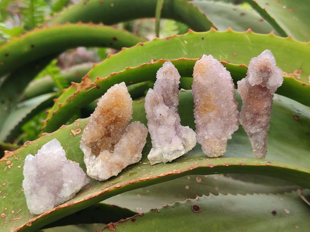 Natural Spirit Amethyst and Spirit Ametrine Crystals and Clusters x 70 From Boekenhouthoek, South Africa - Toprock Gemstones and Minerals 