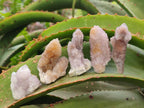 Natural Spirit Amethyst and Spirit Ametrine Crystals and Clusters x 70 From Boekenhouthoek, South Africa - Toprock Gemstones and Minerals 
