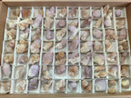 Natural Spirit Amethyst and Spirit Ametrine Crystals and Clusters x 70 From Boekenhouthoek, South Africa - Toprock Gemstones and Minerals 