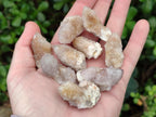 Natural Spirit Amethyst and Spirit Ametrine Crystals and Clusters x 70 From Boekenhouthoek, South Africa - Toprock Gemstones and Minerals 
