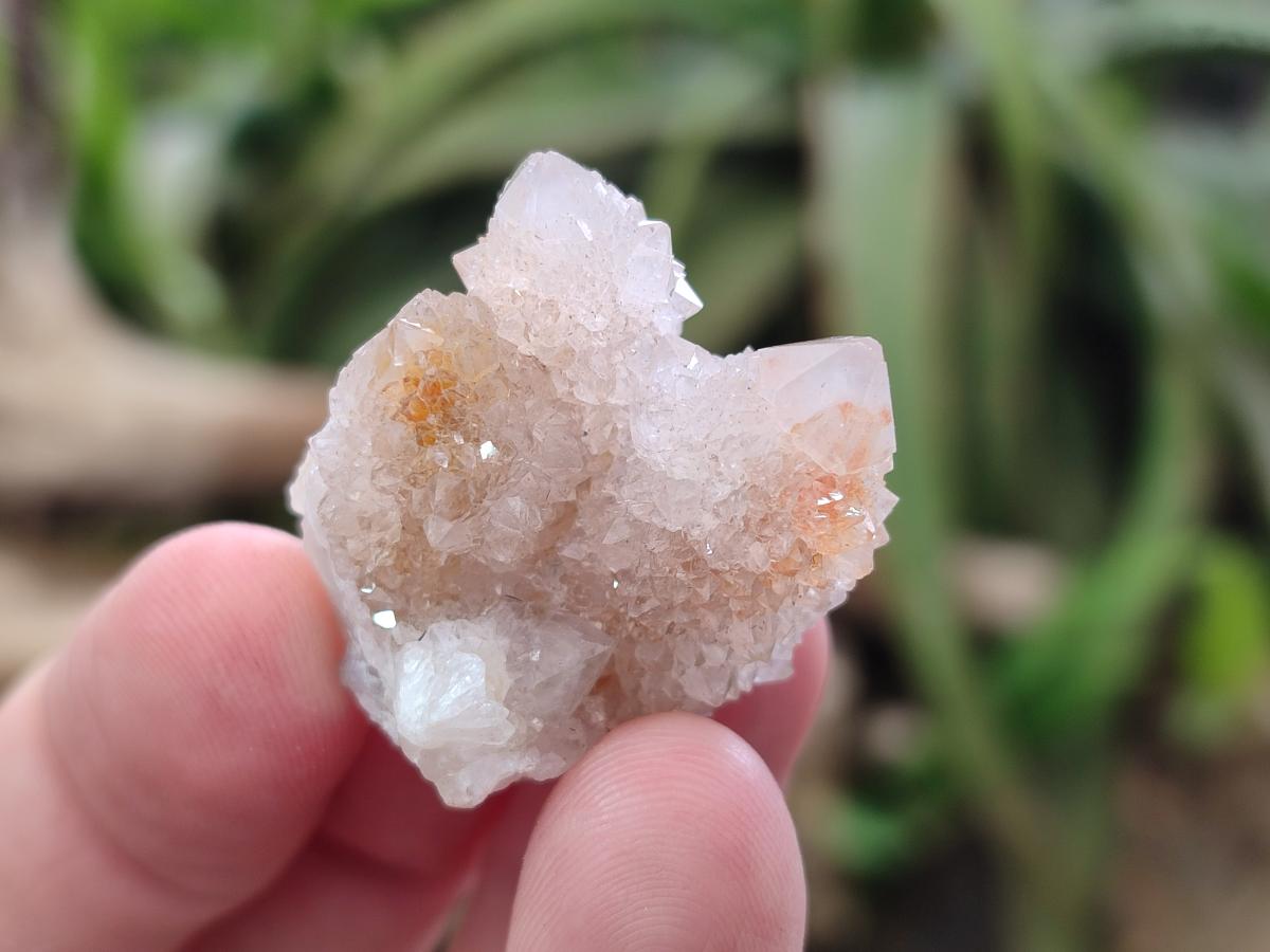 Natural Spirit Amethyst and Spirit Ametrine Crystals and Clusters x 70 From Boekenhouthoek, South Africa - Toprock Gemstones and Minerals 