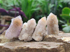Natural Spirit Amethyst and Spirit Ametrine Crystals and Clusters x 70 From Boekenhouthoek, South Africa - Toprock Gemstones and Minerals 