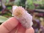 Natural Spirit Amethyst and Spirit Ametrine Crystals and Clusters x 70 From Boekenhouthoek, South Africa - Toprock Gemstones and Minerals 