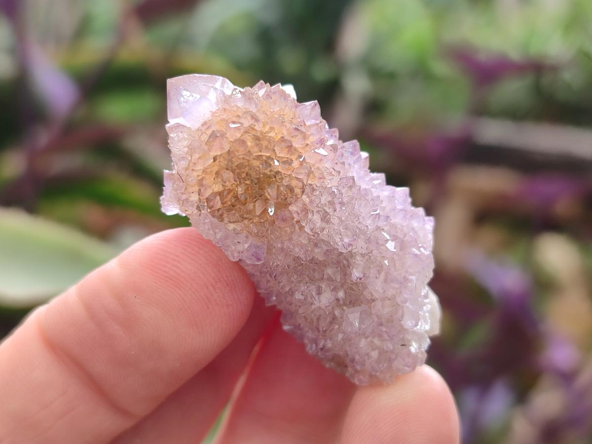 Natural Spirit Amethyst and Spirit Ametrine Crystals and Clusters x 70 From Boekenhouthoek, South Africa - Toprock Gemstones and Minerals 