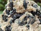 Natural Large Schorl Black Tourmaline Specimen with White Feldspar x 1 From Erongo, Namibia - Toprock Gemstones and Minerals 