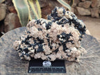 Natural Large Schorl Black Tourmaline Specimen with White Feldspar x 1 From Erongo, Namibia - Toprock Gemstones and Minerals 