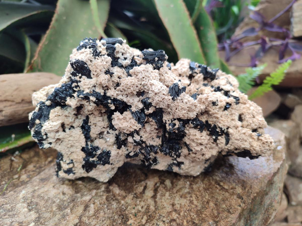 Natural Large Schorl Black Tourmaline Specimen with White Feldspar x 1 From Erongo, Namibia - Toprock Gemstones and Minerals 