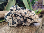 Natural Large Schorl Black Tourmaline Specimen with White Feldspar x 1 From Erongo, Namibia - Toprock Gemstones and Minerals 