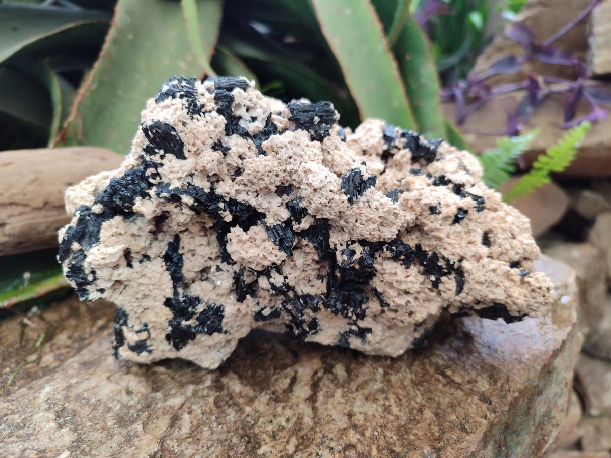 Natural Large Schorl Black Tourmaline Specimen with White Feldspar x 1 From Erongo, Namibia - Toprock Gemstones and Minerals 