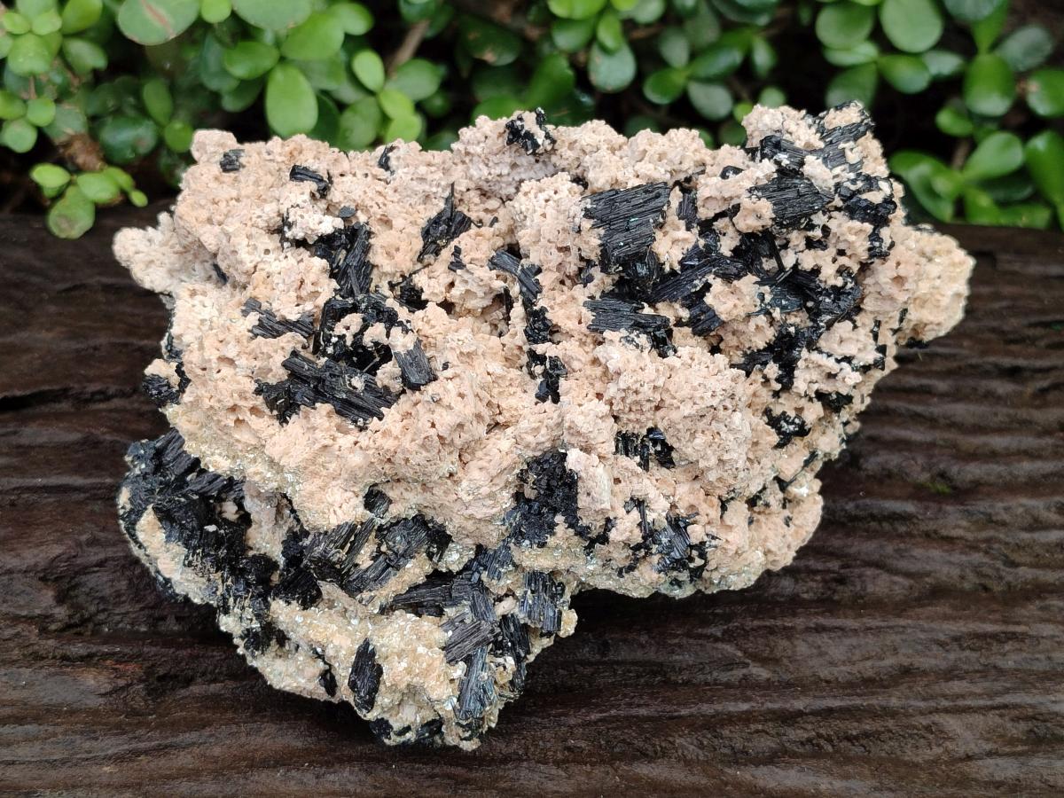 Natural Large Schorl Black Tourmaline Specimen with White Feldspar x 1 From Erongo, Namibia - Toprock Gemstones and Minerals 