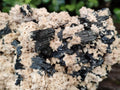 Natural Large Schorl Black Tourmaline Specimen with White Feldspar x 1 From Erongo, Namibia - Toprock Gemstones and Minerals 