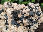 Natural Large Schorl Black Tourmaline Specimen with White Feldspar x 1 From Erongo, Namibia - Toprock Gemstones and Minerals 