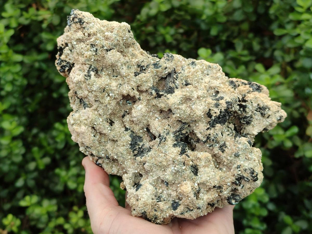 Natural Large Schorl Black Tourmaline Specimen with White Feldspar x 1 From Erongo, Namibia - Toprock Gemstones and Minerals 
