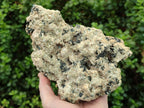 Natural Large Schorl Black Tourmaline Specimen with White Feldspar x 1 From Erongo, Namibia - Toprock Gemstones and Minerals 