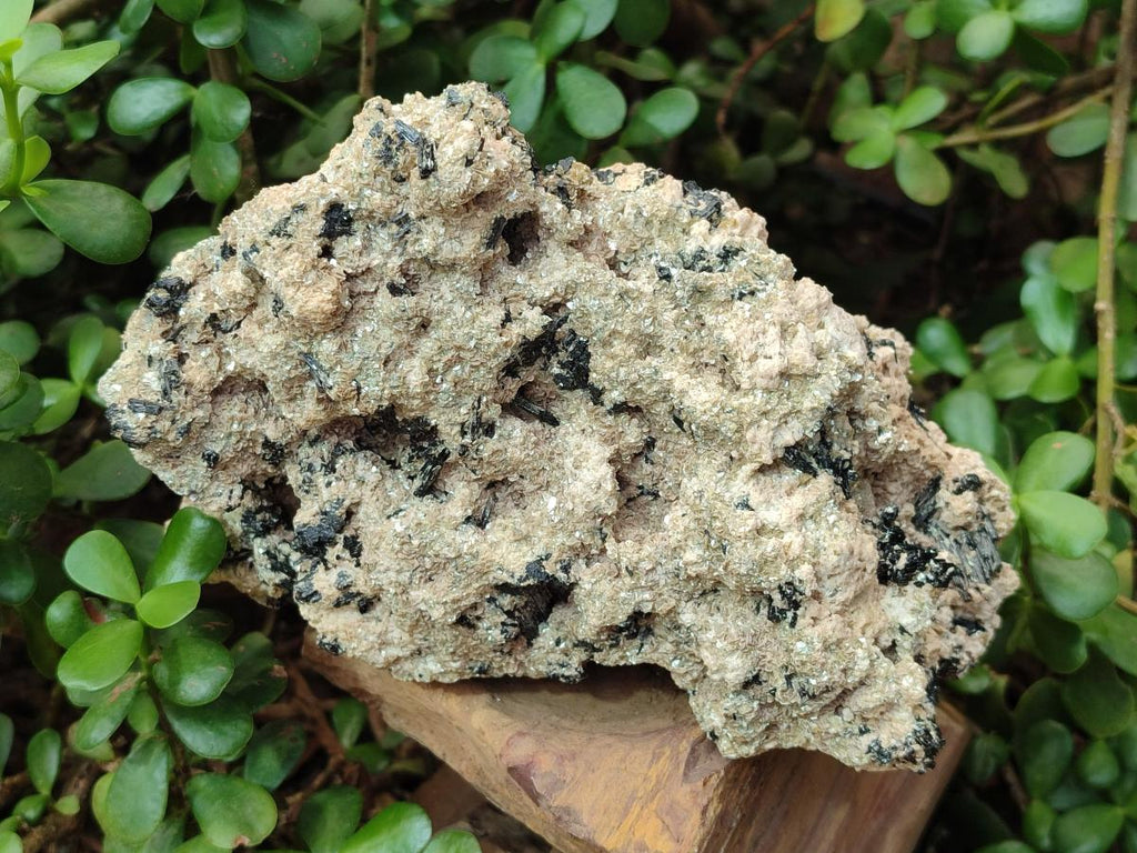 Natural Large Schorl Black Tourmaline Specimen with White Feldspar x 1 From Erongo, Namibia - Toprock Gemstones and Minerals 