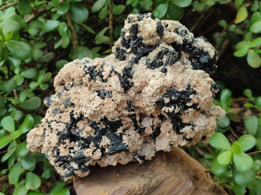 Natural Large Schorl Black Tourmaline Specimen with White Feldspar x 1 From Erongo, Namibia - Toprock Gemstones and Minerals 
