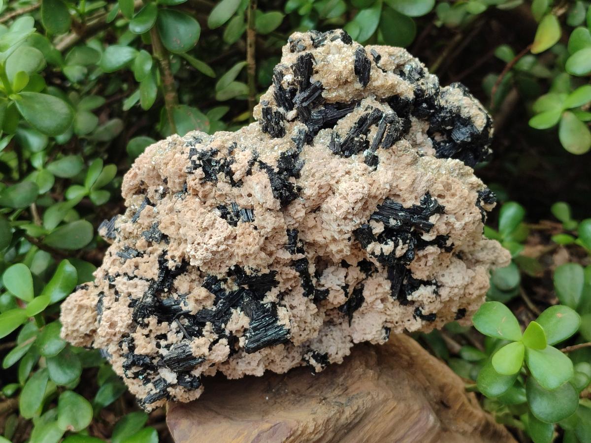 Natural Large Schorl Black Tourmaline Specimen with White Feldspar x 1 From Erongo, Namibia - Toprock Gemstones and Minerals 
