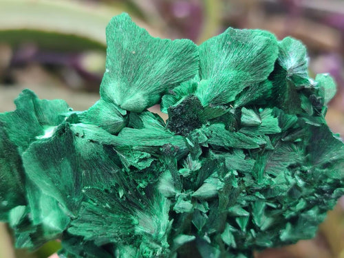 Natural Silky Malachite Specimens x 6 From Kasompe, Congo - Toprock Gemstones and Minerals 