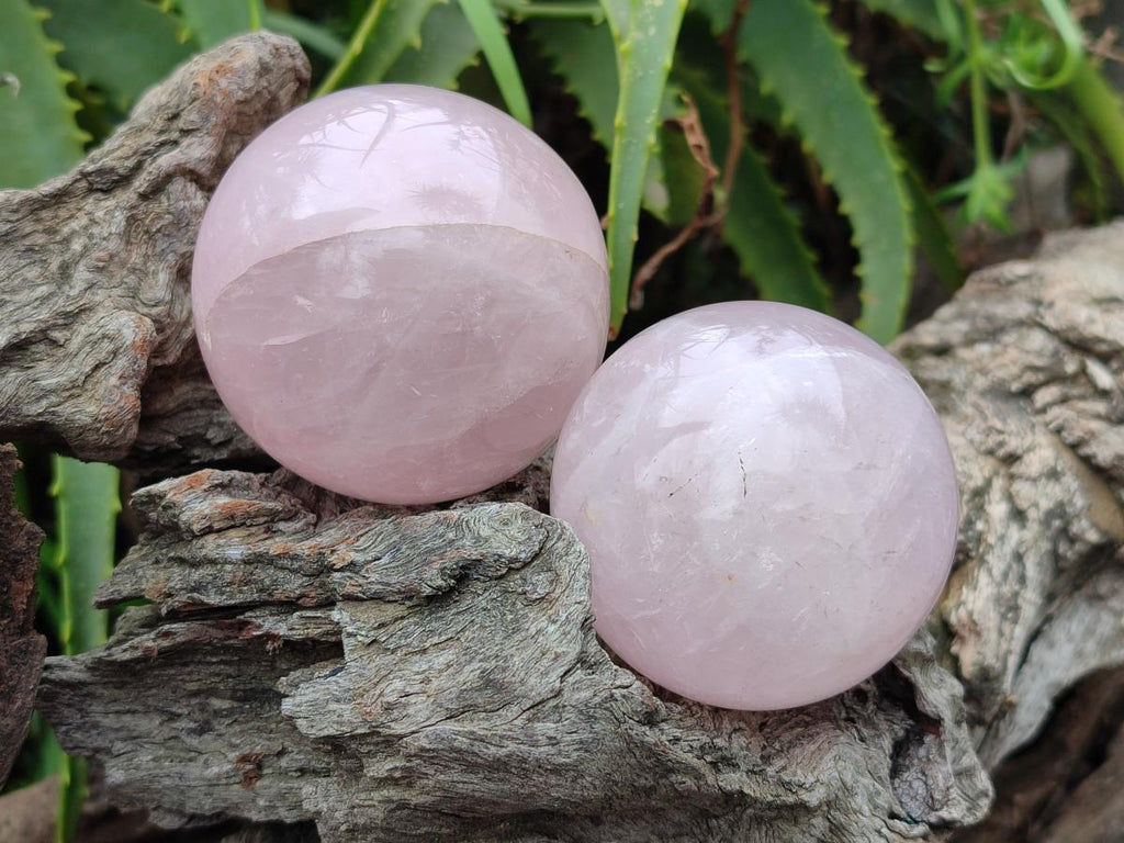 Polished Gemmy Rose Quartz Spheres x 6 From Madagascar - Toprock Gemstones and Minerals 