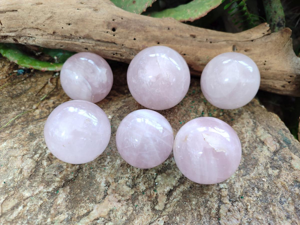 Polished Gemmy Rose Quartz Spheres x 6 From Madagascar - Toprock Gemstones and Minerals 