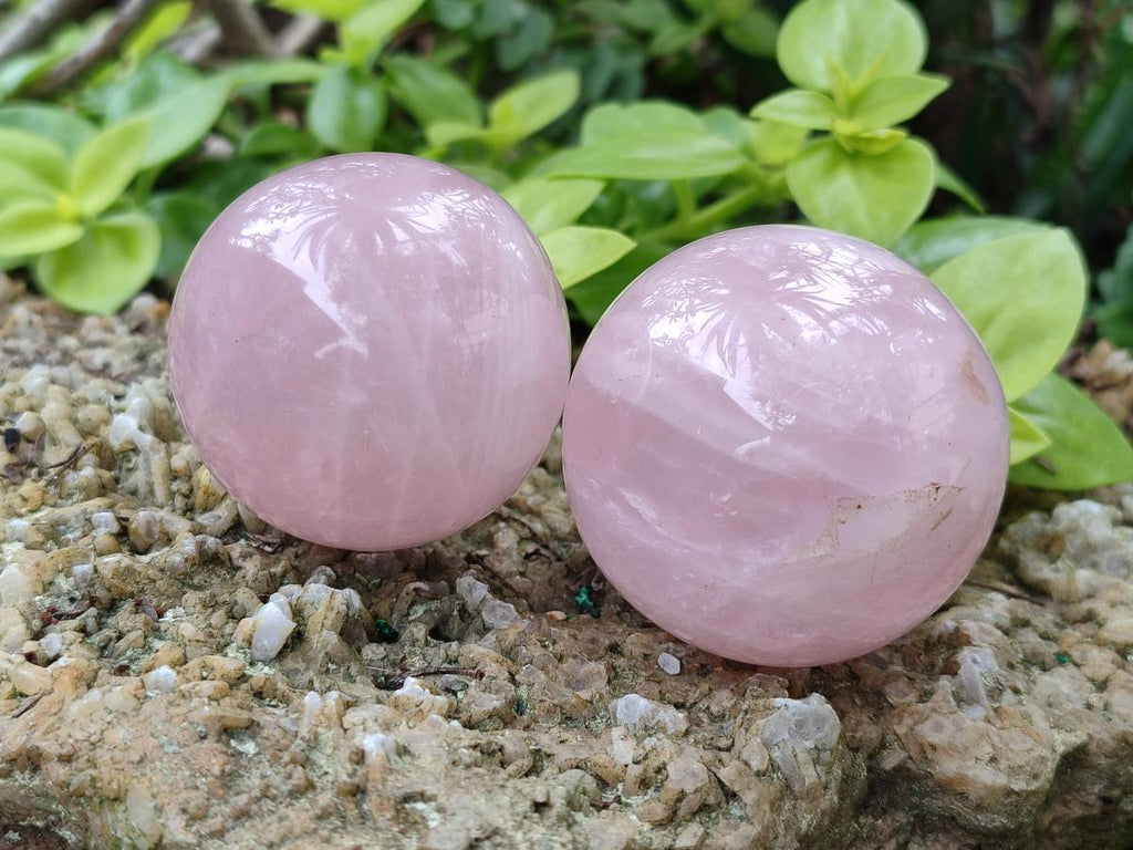 Polished Gemmy Rose Quartz Spheres x 6 From Madagascar - Toprock Gemstones and Minerals 