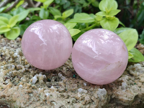 Polished Gemmy Rose Quartz Spheres x 6 From Madagascar - Toprock Gemstones and Minerals 