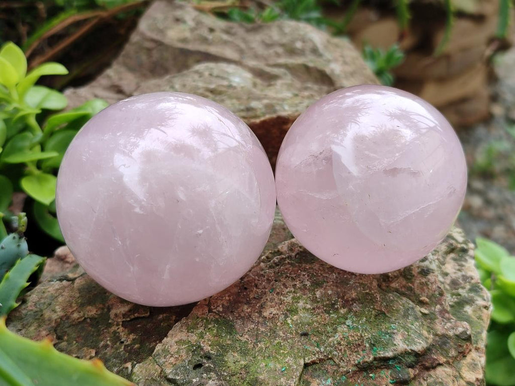 Polished Gemmy Rose Quartz Spheres x 6 From Madagascar - Toprock Gemstones and Minerals 