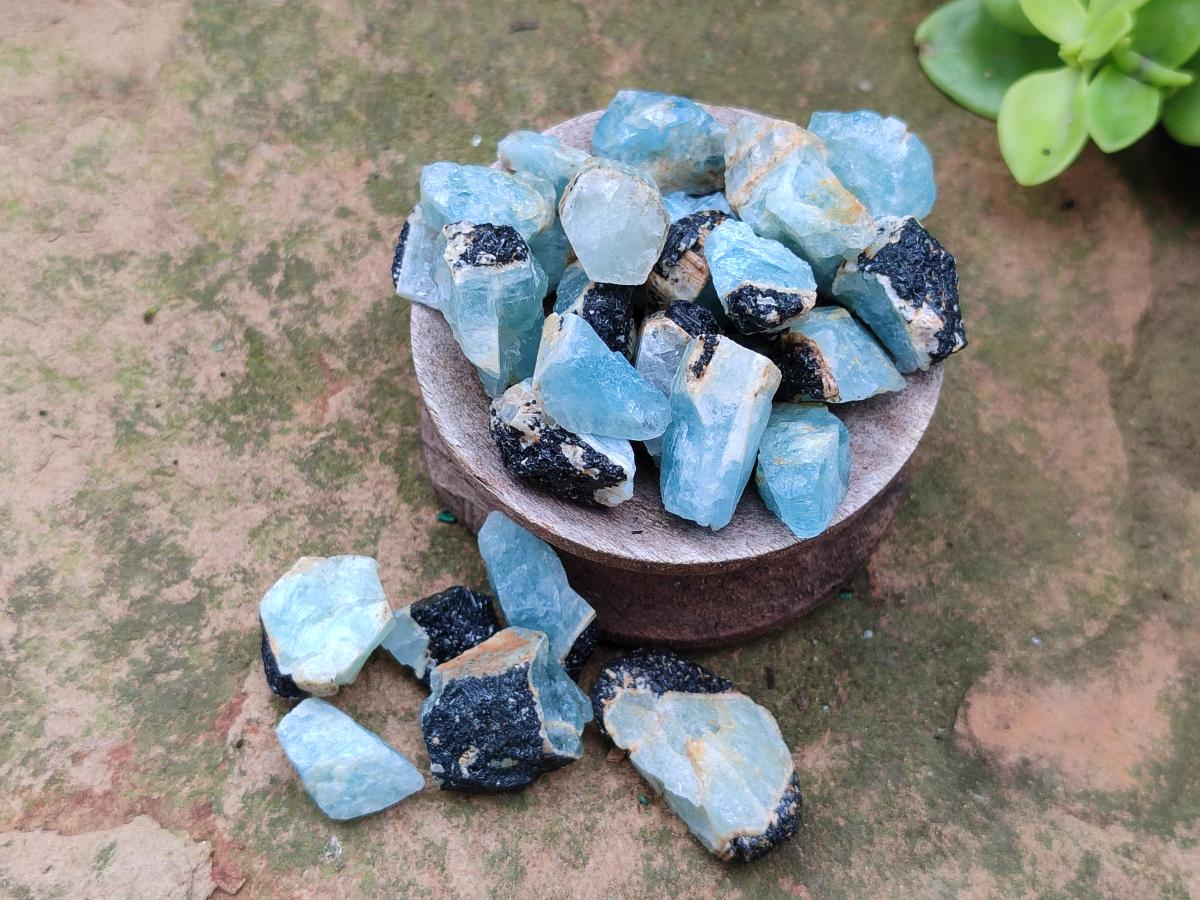 Natural Rare Aquamarine in Black Tourmaline Crystal Specimens x 0,97 Kg Lot From Karibib, Namibia - Toprock Gemstones and Minerals 