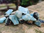 Natural Rare Aquamarine in Black Tourmaline Crystal Specimens x 0,97 Kg Lot From Karibib, Namibia - Toprock Gemstones and Minerals 