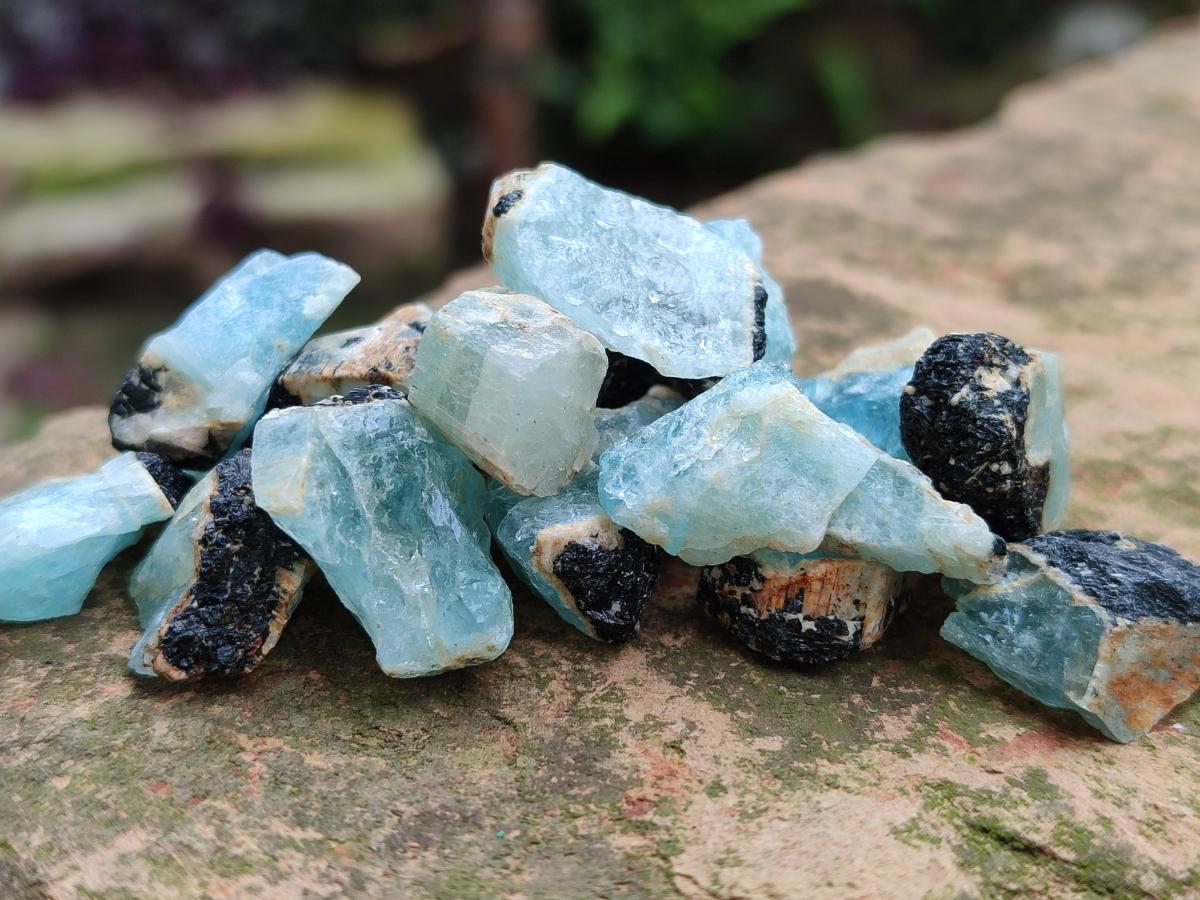Natural Rare Aquamarine in Black Tourmaline Crystal Specimens x 0,97 Kg Lot From Karibib, Namibia - Toprock Gemstones and Minerals 