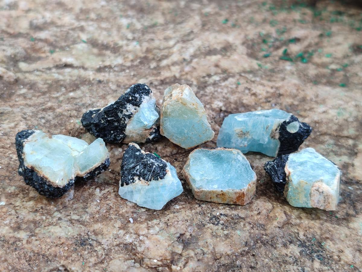 Natural Rare Aquamarine in Black Tourmaline Crystal Specimens x 0,97 Kg Lot From Karibib, Namibia - Toprock Gemstones and Minerals 