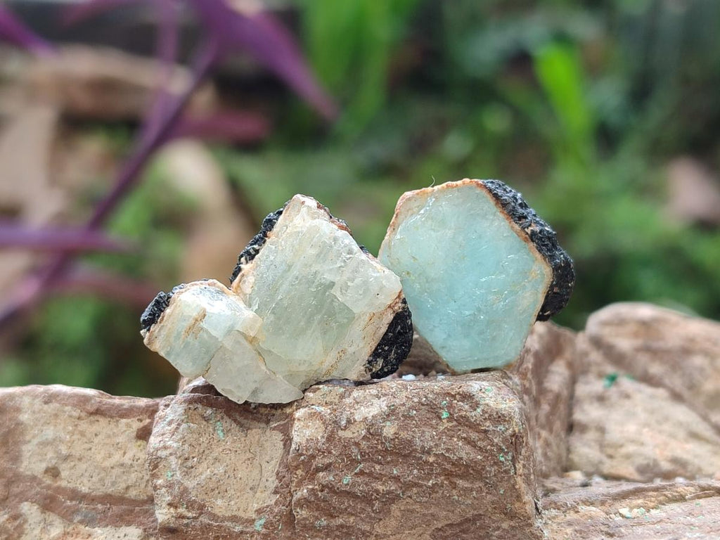 Natural Rare Aquamarine in Black Tourmaline Crystal Specimens x 0,97 Kg Lot From Karibib, Namibia - Toprock Gemstones and Minerals 