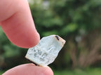 Natural Rare Aquamarine in Black Tourmaline Crystal Specimens x 0,97 Kg Lot From Karibib, Namibia - Toprock Gemstones and Minerals 