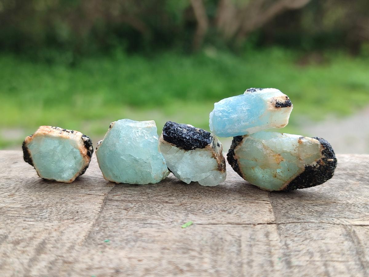 Natural Rare Aquamarine in Black Tourmaline Crystal Specimens x 0,97 Kg Lot From Karibib, Namibia - Toprock Gemstones and Minerals 