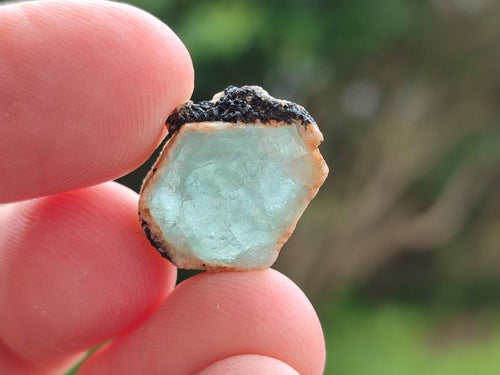 Natural Rare Aquamarine in Black Tourmaline Crystal Specimens x 0,97 Kg Lot From Karibib, Namibia - Toprock Gemstones and Minerals 