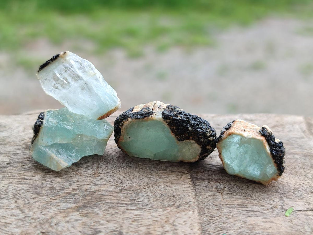 Natural Rare Aquamarine in Black Tourmaline Crystal Specimens x 0,97 Kg Lot From Karibib, Namibia - Toprock Gemstones and Minerals 