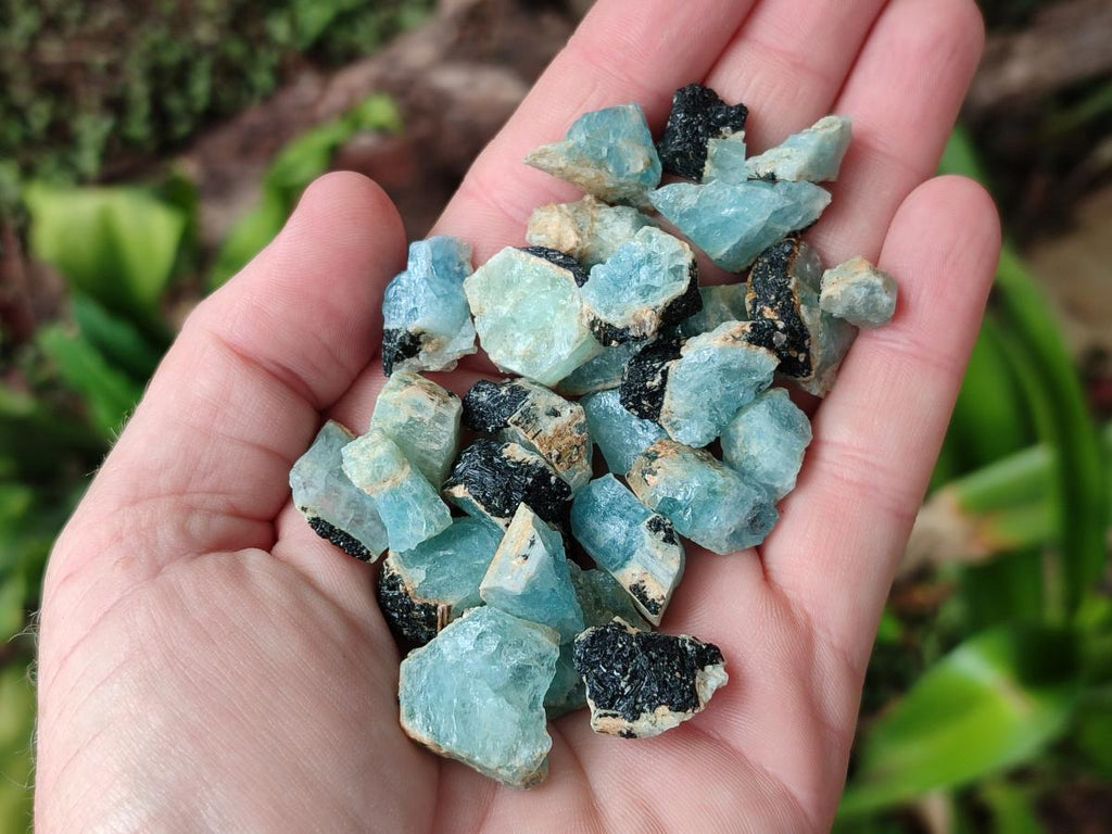 Natural Rare Aquamarine in Black Tourmaline Crystal Specimens x 0,97 Kg Lot From Karibib, Namibia - Toprock Gemstones and Minerals 