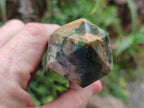 Polished and Natural Mix of Rare Ocean Jasper Pieces x 4 From Northwest Coast, Madagascar - Toprock Gemstones and Minerals 