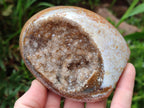 Polished and Natural Mix of Rare Ocean Jasper Pieces x 4 From Northwest Coast, Madagascar - Toprock Gemstones and Minerals 