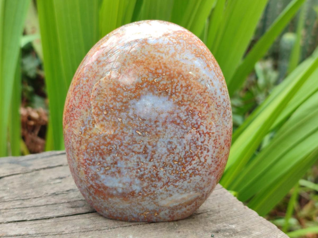 Polished and Natural Mix of Rare Ocean Jasper Pieces x 4 From Northwest Coast, Madagascar - Toprock Gemstones and Minerals 